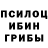 Псилоцибиновые грибы Psilocybine cubensis BoRIk bum