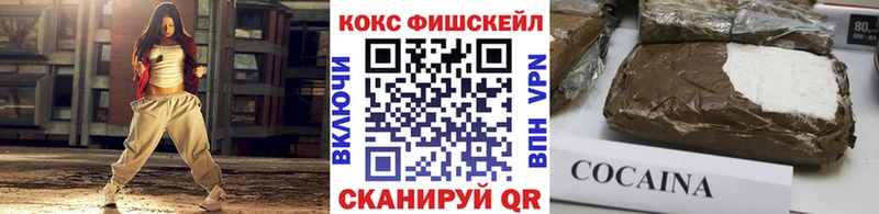 дарнет шоп  Гатчина  Cocaine FishScale 
