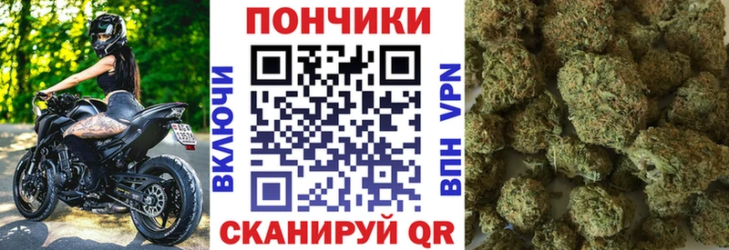 Каннабис Bruce Banner  закладка  Гатчина 